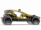 ariel nomad (1)