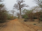 1-de-aici-incepe-africa-neagra